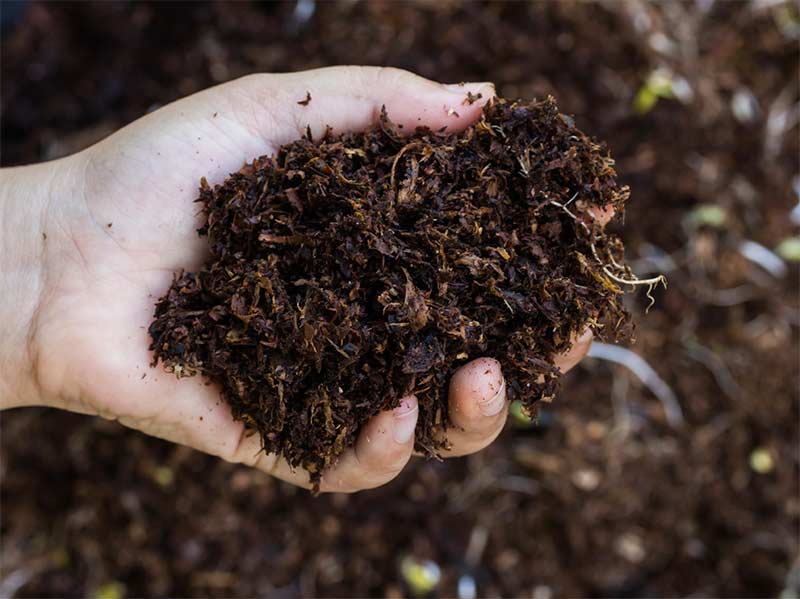 terreno orto bioattivo