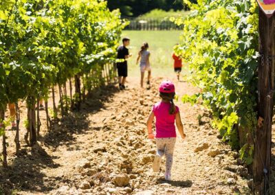 Come creare un giardino nelle uova - lavori creativi per bambini - Blog  Lucca Bimbi