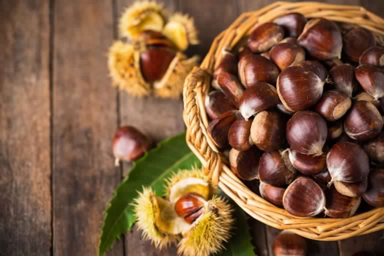 Sapori d’autunno in Garfagnana