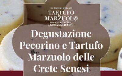 Degustazione Pecorino e Tartufo Marzuolo delle Crete Senesi