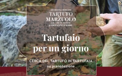 Tartufaio per un giorno