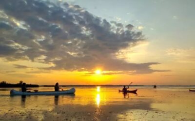 Birdwatching in canoa all’Oasi Lipu di Massaciuccoli