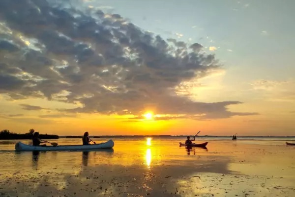 birdwatching-in-canoa