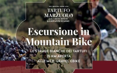 Escursione in mountain bike sulle Strade bianche dei Tartufi