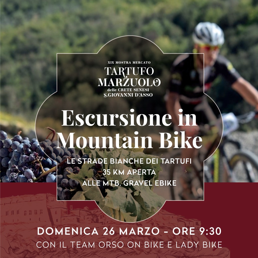 escursione in mountain bike