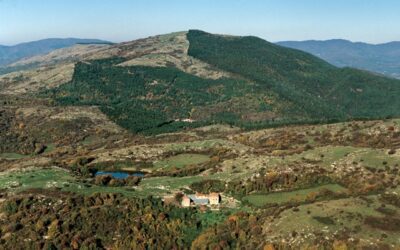 Passeggiando alla scoperta delle Terre di Calenzano – Monte Maggiore