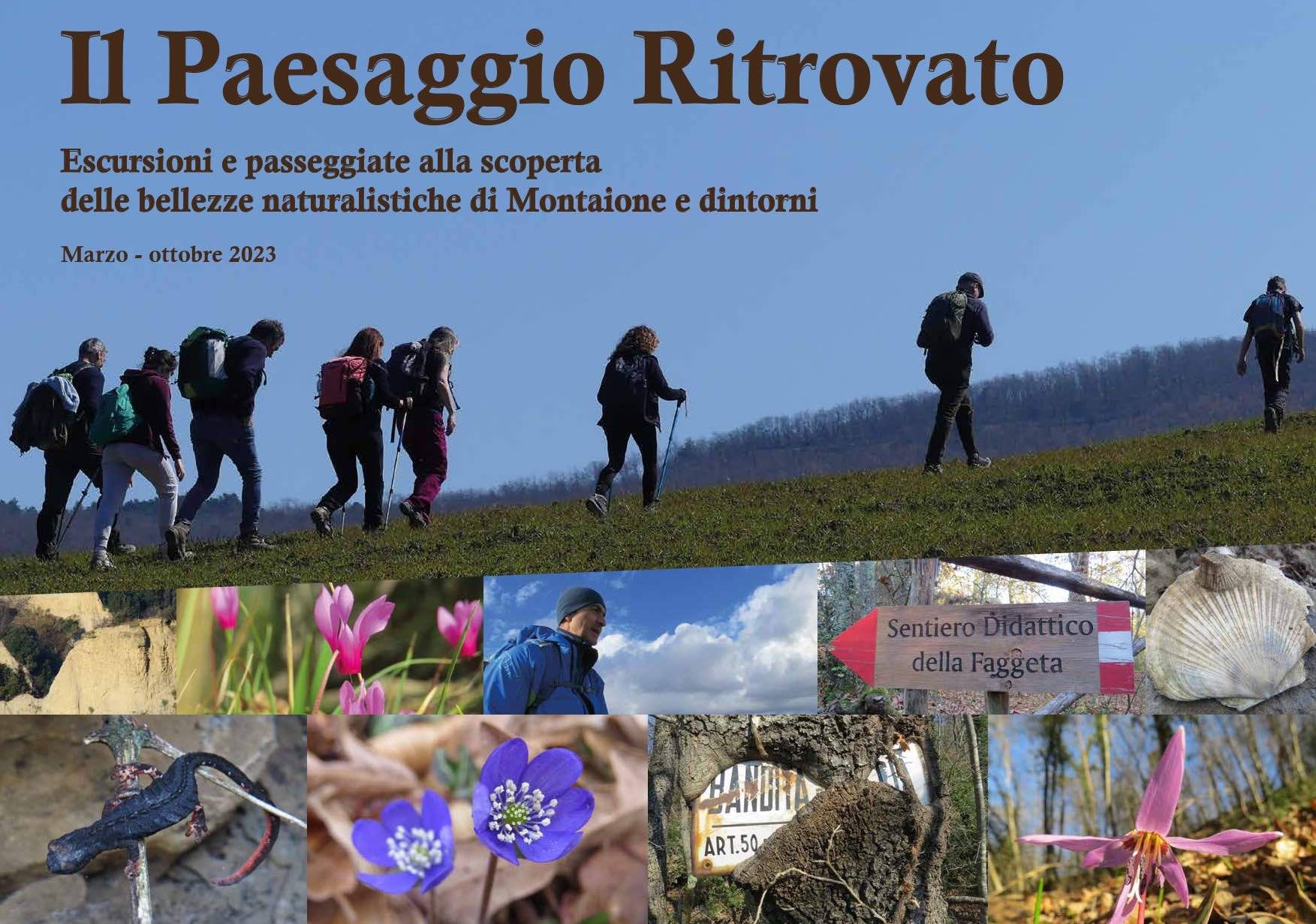 Il-Paesaggio-Ritrovato