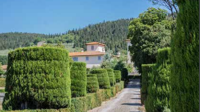 Passeggiando alla scoperta delle Ville Fattoria – Il parco della Villa di Sommaia