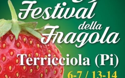 Festival della Fragola di Terricciola