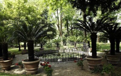 Boboli – Visita al Giardino della Botanica Superiore