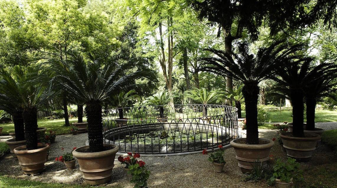 giardino-della-botanica-superiore