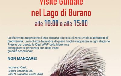 Visite al Lago di Burano