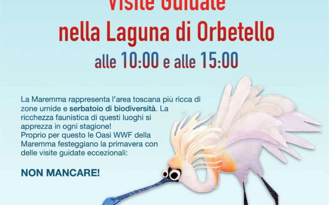 Visite alla Laguna di Orbetello