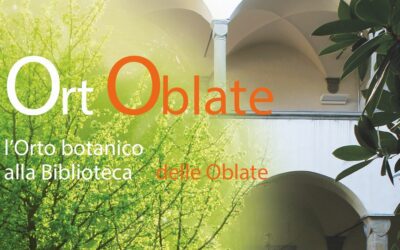 OrtOblate 2023