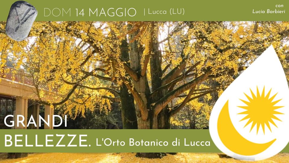 grandi-bellezze-orto-botanico-di-lucca