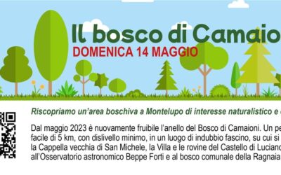 Alla scoperta del Bosco di Camaioni