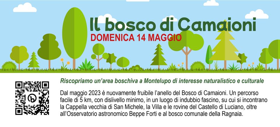 il-bosco-di-camaioni